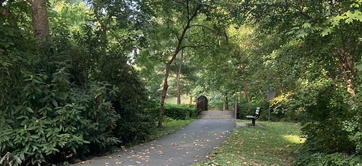 Friends of Willard Avenue Park